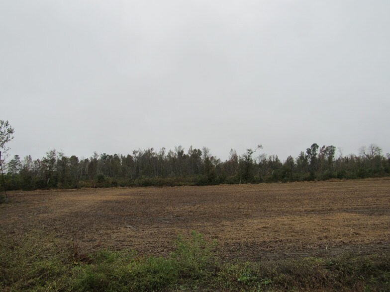 Prosser Shortcut Road At Bethel Rd, Aynor, SC for sale - Other - Image 1 of 1