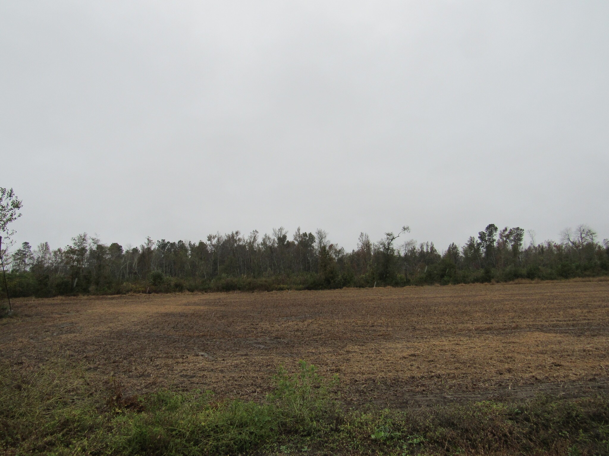 Prosser Shortcut Road At Bethel Rd, Aynor, SC for sale Other- Image 1 of 1