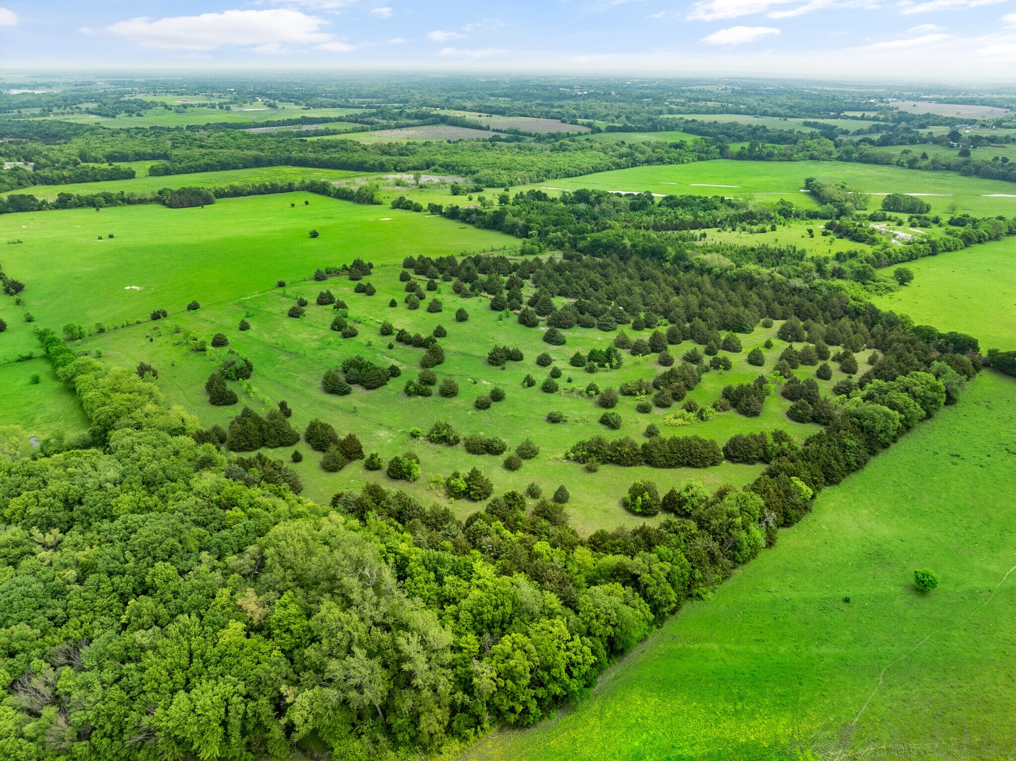 TBD Willy Vester Rd, Van Alstyne, TX for sale Primary Photo- Image 1 of 1