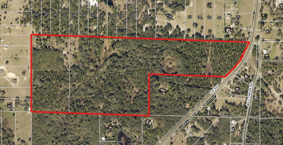 County Road 439, Eustis, FL for sale - Aerial - Image 1 of 1