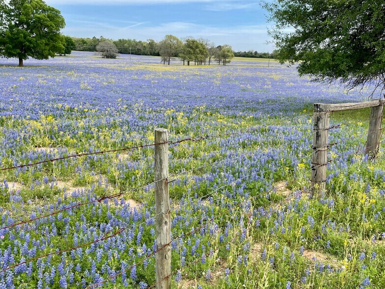 899 Co Rd 2245, Grapeland, TX 75844