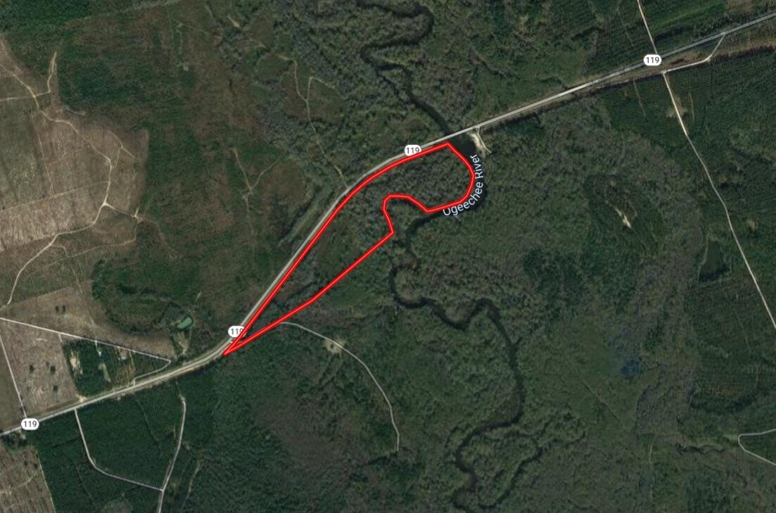 00 Highway 119, Brooklet, GA for sale Primary Photo- Image 1 of 1