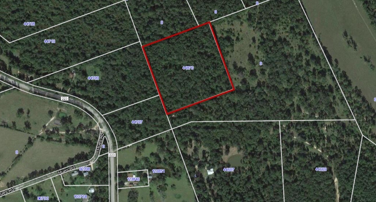 FM 223 & Hues Rd, Shepherd, TX 77371