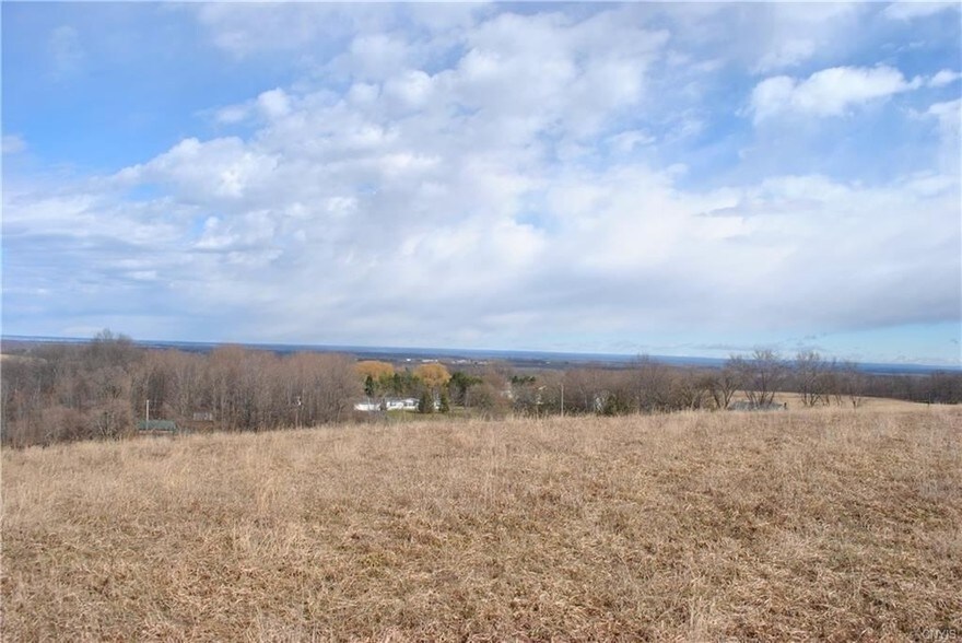 Robinson Rd, Sullivan, NY 13037