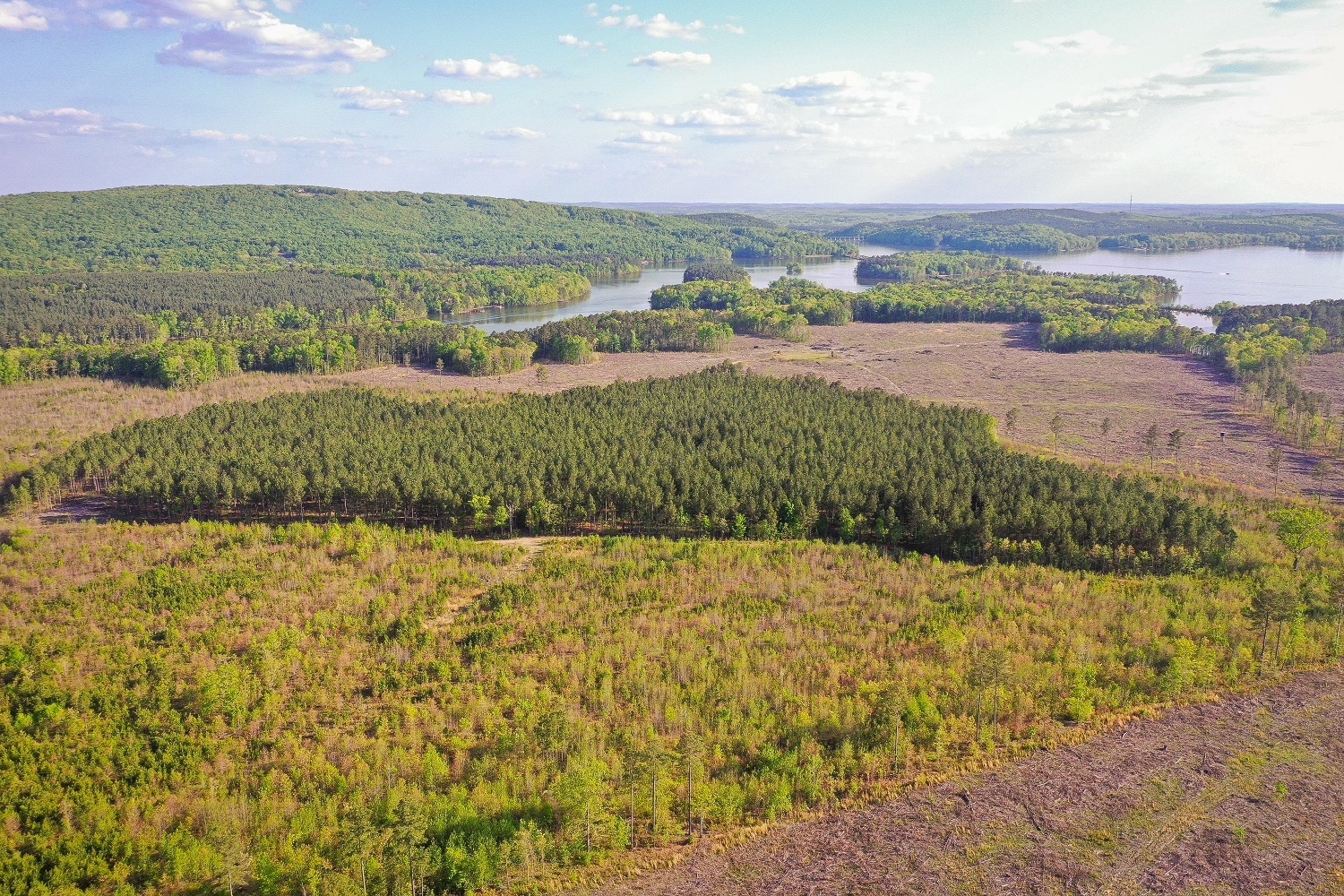 1084 Stoney Pointe, Lexington, NC for sale Building Photo- Image 1 of 1