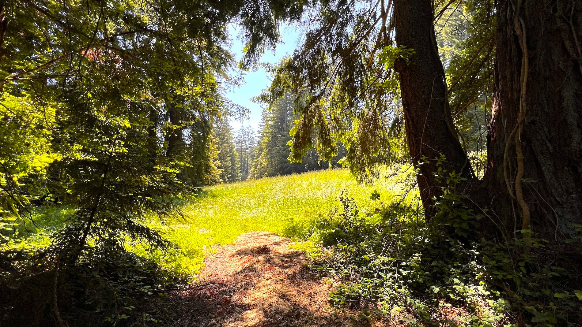 3675 Bonny Doon Rd, Santa Cruz, CA 95060 Bonny Doon Equestrian Park