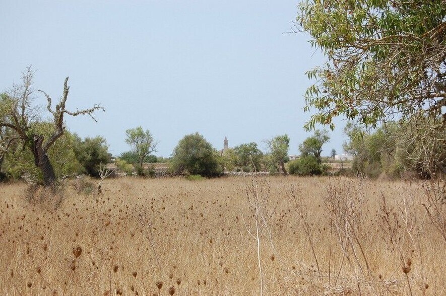 Land in Santanyí, Islas Baleares for sale - Building Photo - Image 2 of 11