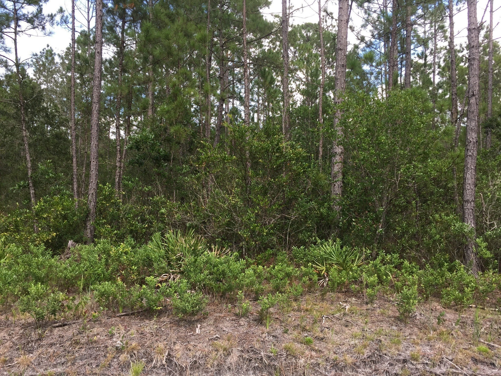 0 N Bell Rd, Hilliard, FL for sale Building Photo- Image 1 of 1