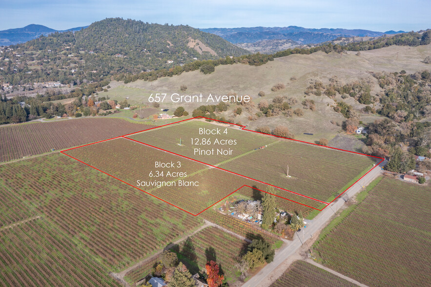 657 Grant ave, Healdsburg, CA for sale - Aerial - Image 3 of 15