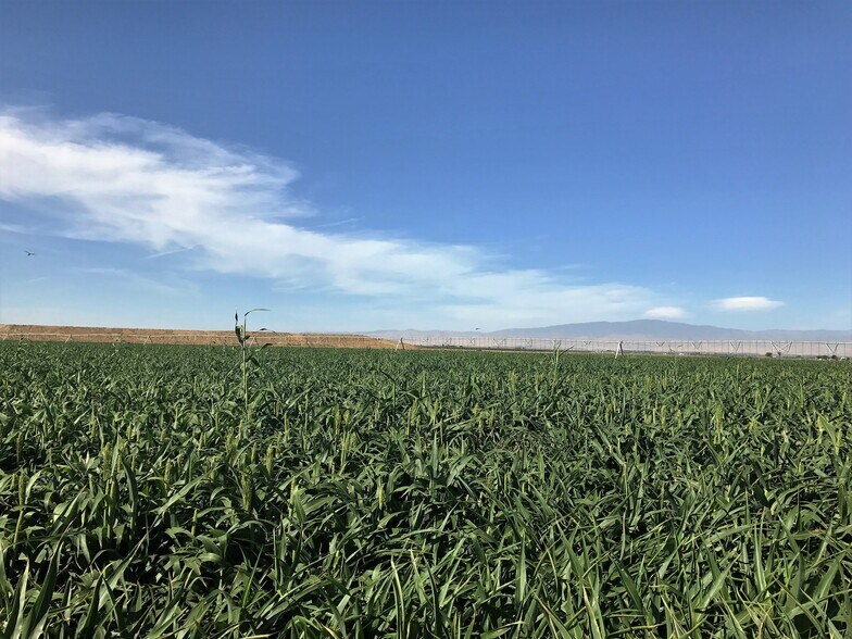 Wheeler Ridge Rd, Arvin, CA 93203