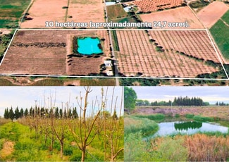 More details for 4PJ2+JJ2 San Luis de Letras, Pabellón De Arteaga - Specialty for Sale