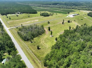 More details for 10150 State Highway 110, Woodbine, GA - Land for Sale