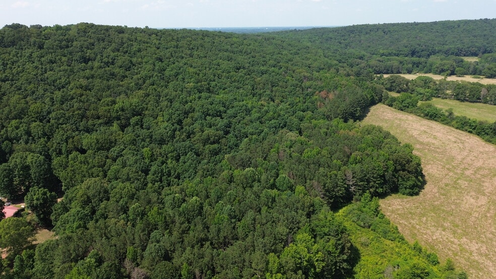 104 Kerrie Ln E, Boaz, AL for sale - Aerial - Image 3 of 7