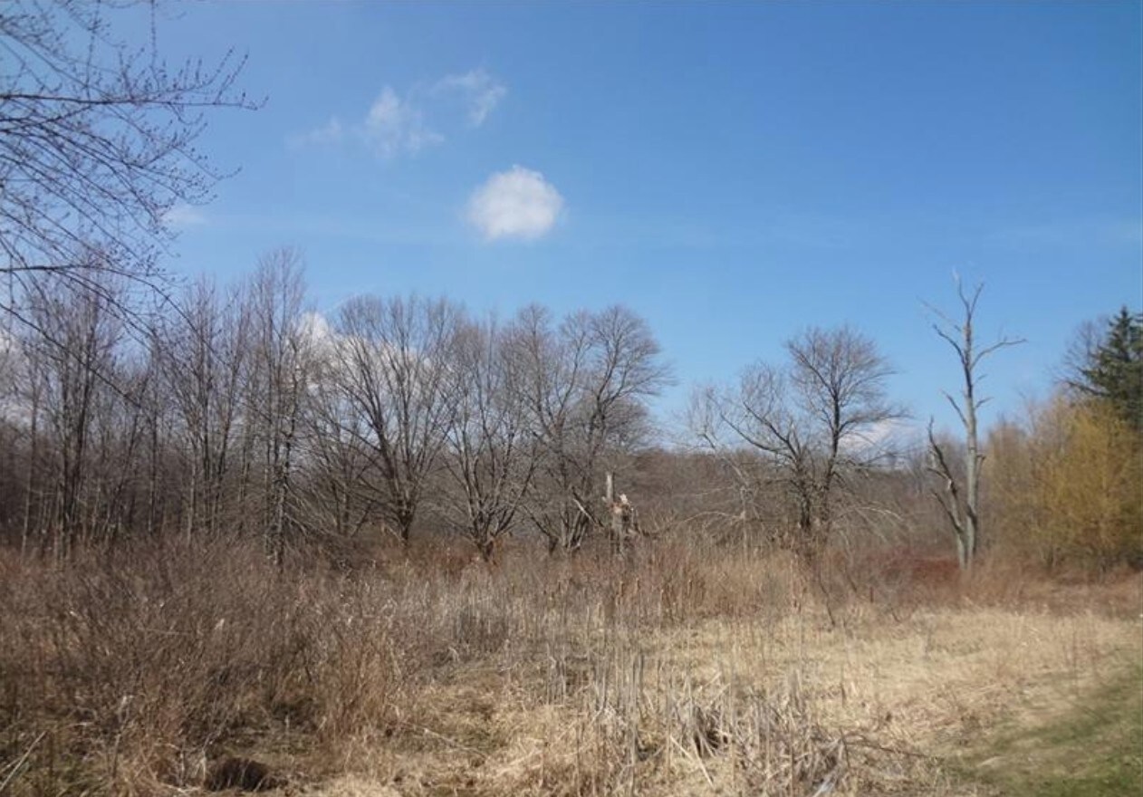 2971 Old Plank Rd, New Castle, PA for sale Primary Photo- Image 1 of 1