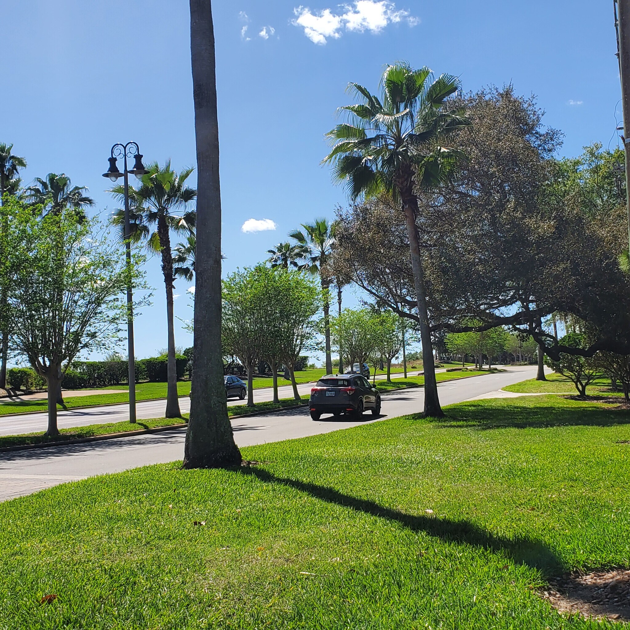 26 Forest Dr, Davenport, FL for sale Primary Photo- Image 1 of 1