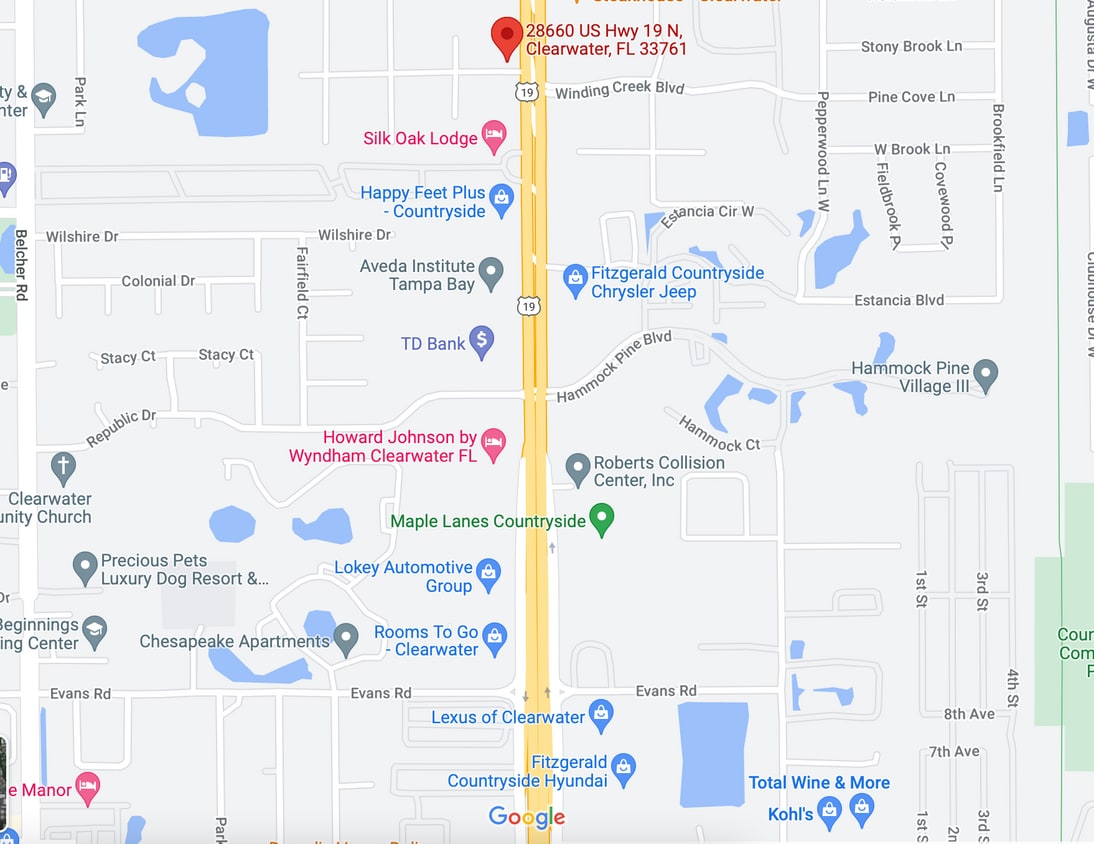28660 N US Highway 19 Clearwater - Image