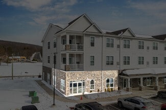 More details for 244 Sand Springs Dr, Drums, PA - Retail for Lease