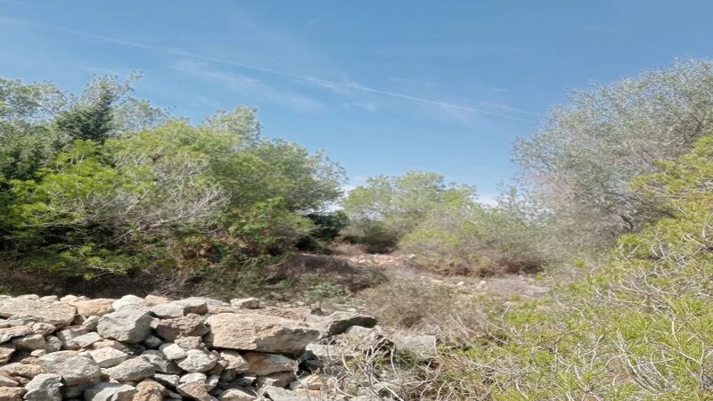 Land in El Vendrell, Tarragona for sale - Building Photo - Image 3 of 6
