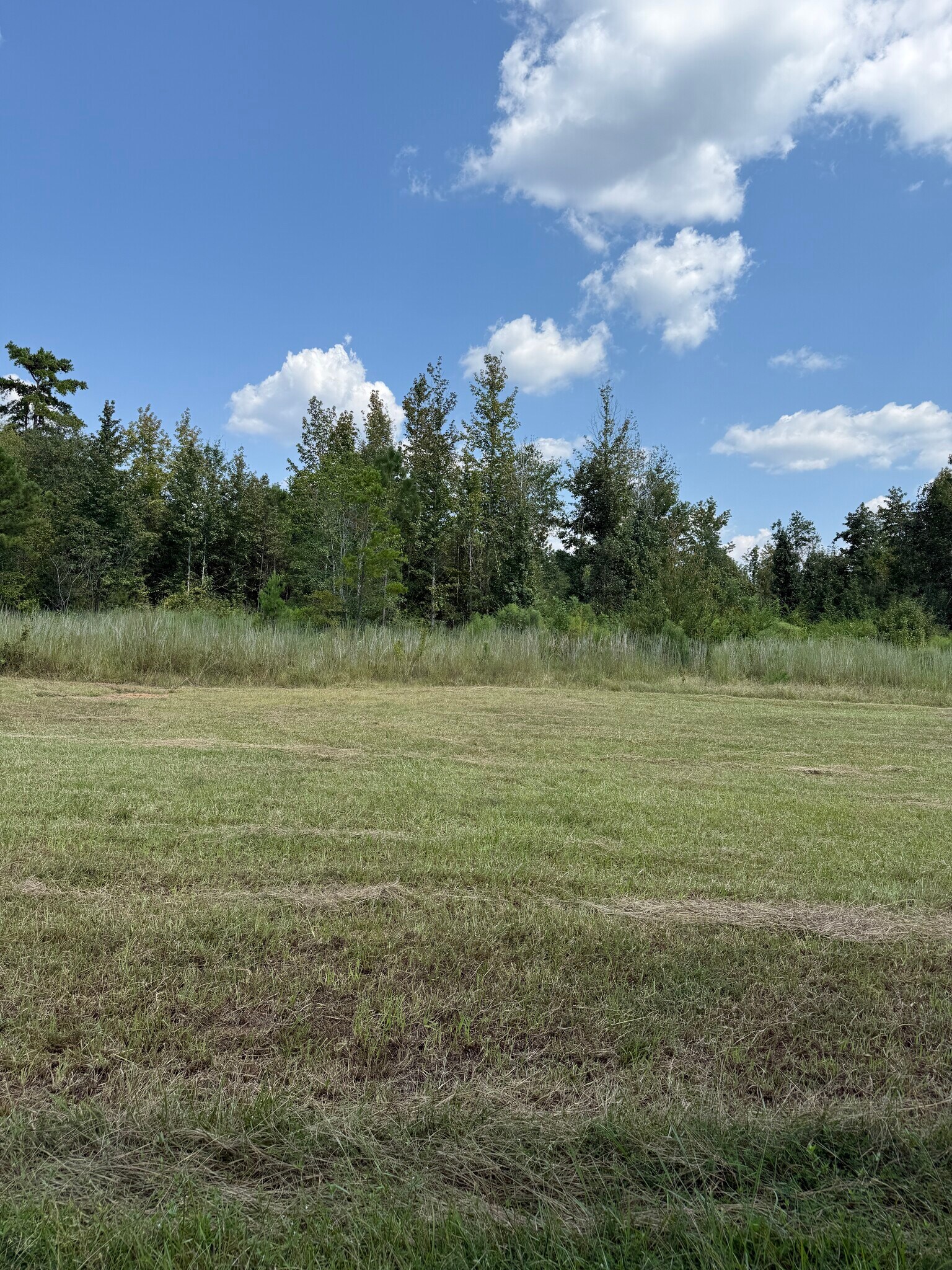 0 ALEX Rd, Gloster, MS for sale Primary Photo- Image 1 of 8