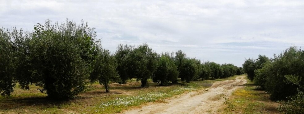 Polígono Ue, 11 Parcela 69, Villamanrique de la Condesa, Sevilla for sale - Building Photo - Image 1 of 37