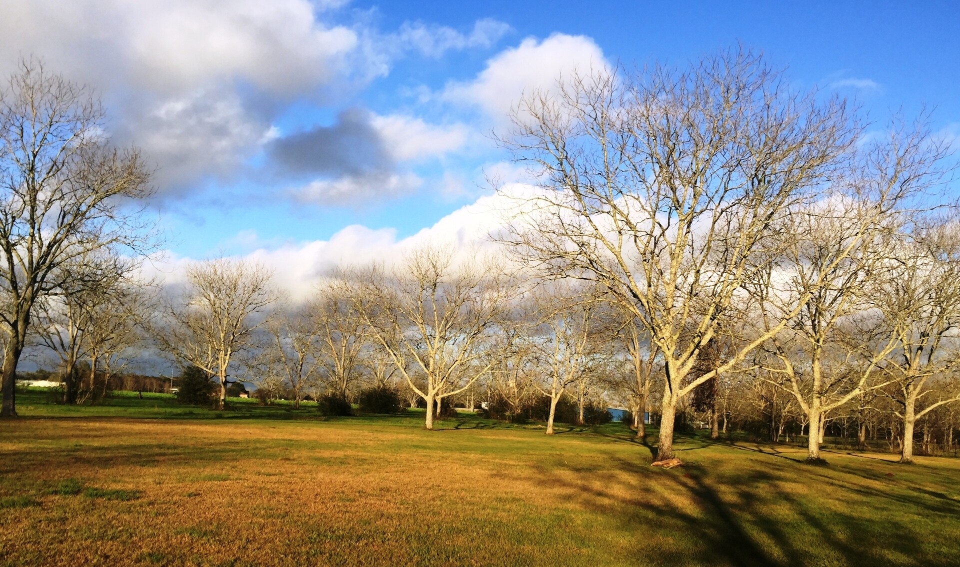 0 Friendship Rd, Daphne, AL 36526