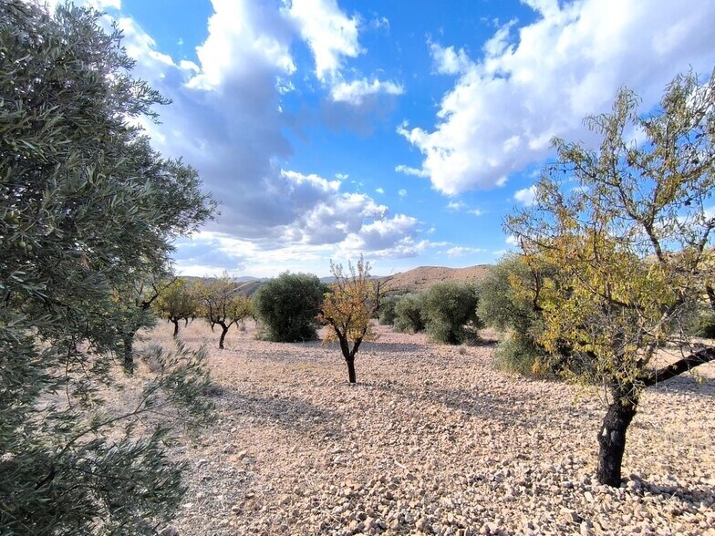 Land in MURCIA for sale - Building Photo - Image 2 of 9