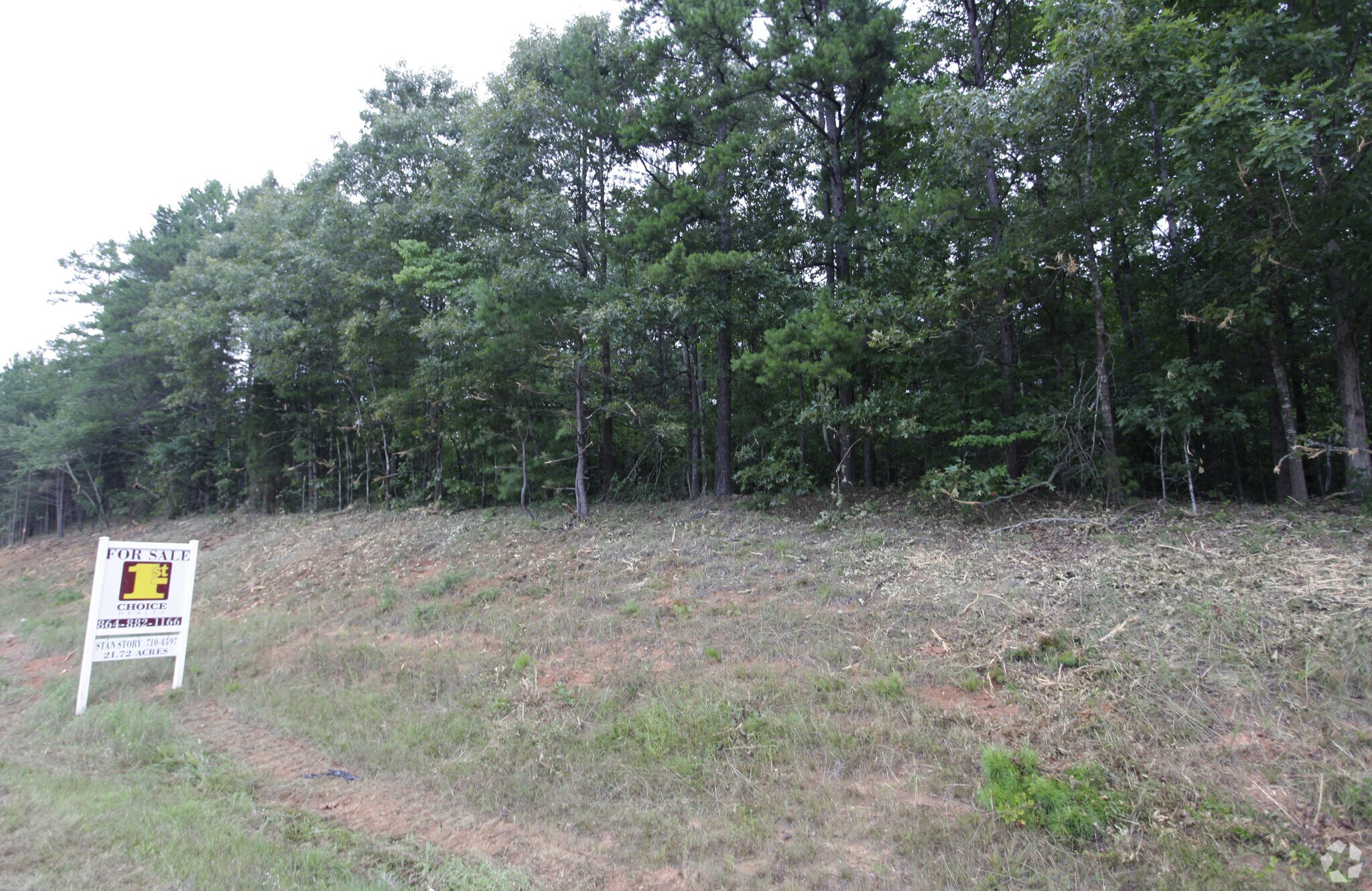 Blue Ridge Blvd, Walhalla, SC for sale Primary Photo- Image 1 of 1