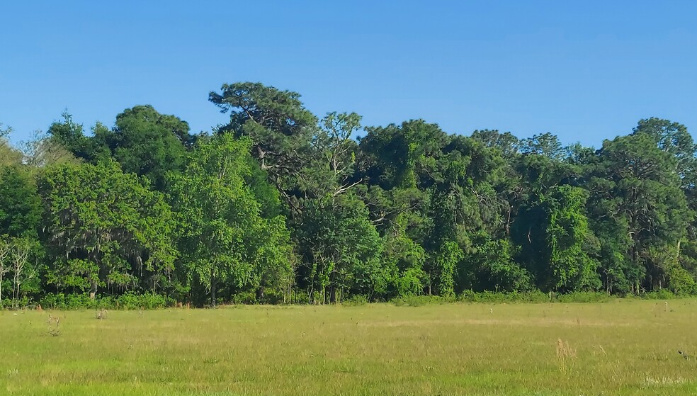 TBD Hwy 475, Oxford, FL for sale - Interior Photo - Image 3 of 8