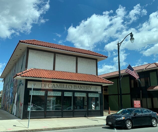 1702 Pine Ave, Niagara Falls, NY for sale - Primary Photo - Image 1 of 1