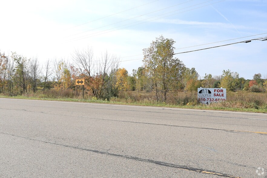 Lake Nepessing Rd, Lapeer, MI for sale - Primary Photo - Image 1 of 1