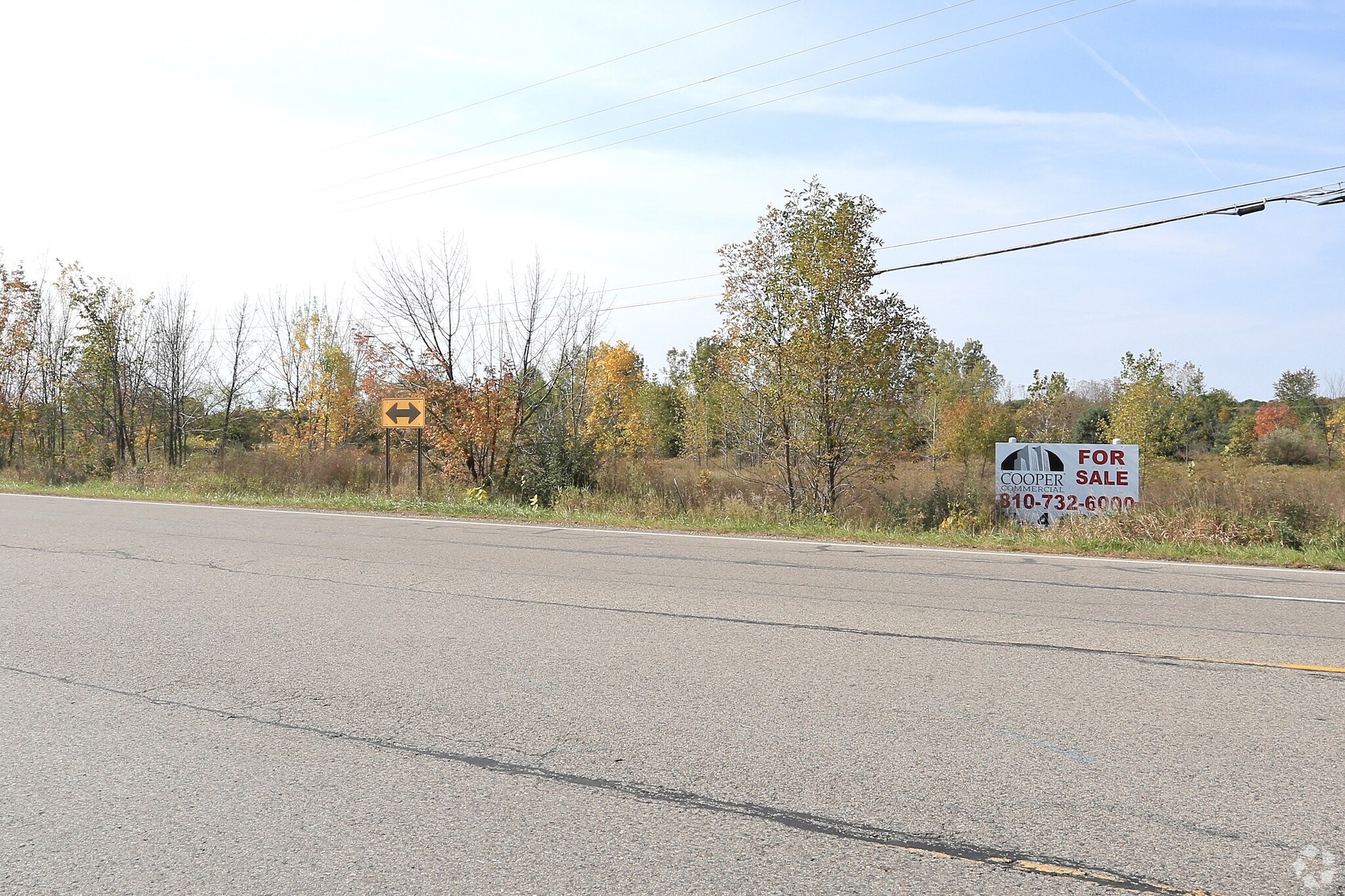 Lake Nepessing Rd, Lapeer, MI for sale Primary Photo- Image 1 of 1