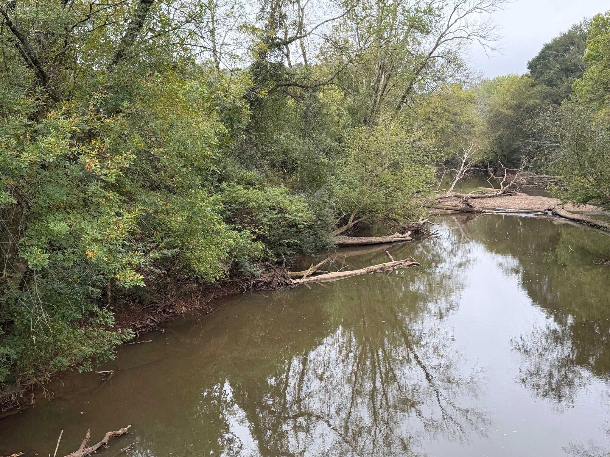 0 County Road 60, Heflin, AL for sale Building Photo- Image 1 of 18