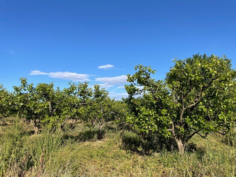 Land in València, Valencia for sale - Building Photo - Image 3 of 4