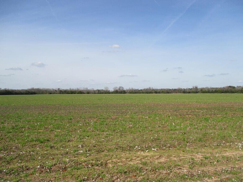 0 Camden / Black River Rd hwy, Dalzell, SC for sale - Primary Photo - Image 1 of 1