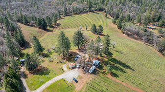 Winery, Vineyard, Tasting Room, Residence - Vineyard