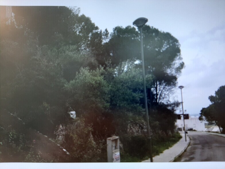 Land in Alzira, Valencia for sale - Building Photo - Image 3 of 14