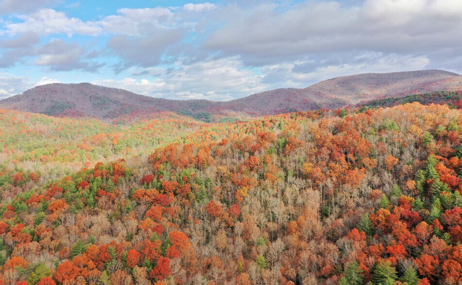 26065 Morganton Hwy, Suches, GA for sale - Building Photo - Image 1 of 1