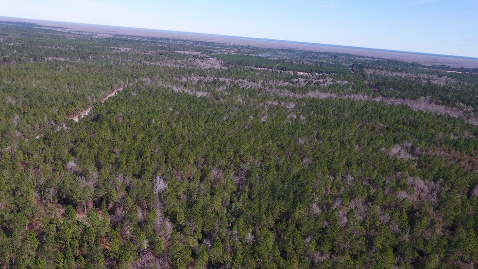 0 Paul Bayou Rd, Mc Intosh, AL 36553