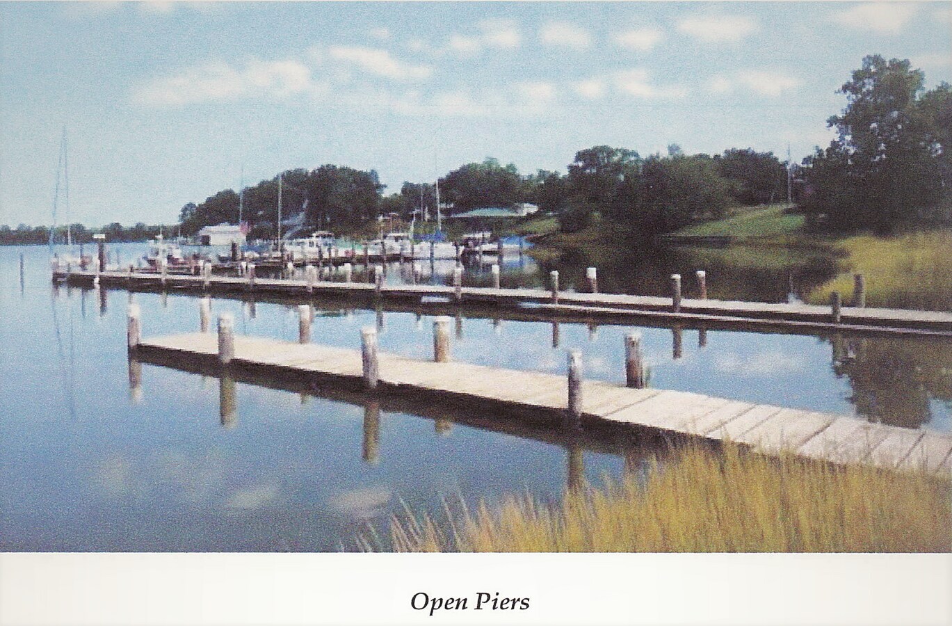 View Photo
