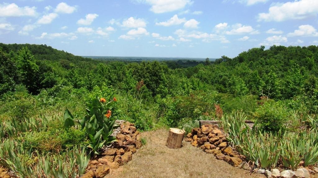 1515 Fm 250 N, Hughes Springs, TX for sale Other- Image 1 of 1