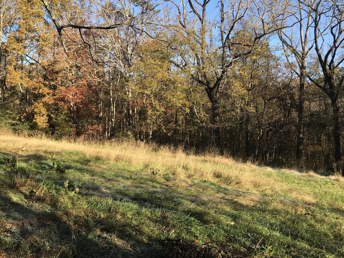 Brockton Rd, Jefferson, GA 30549