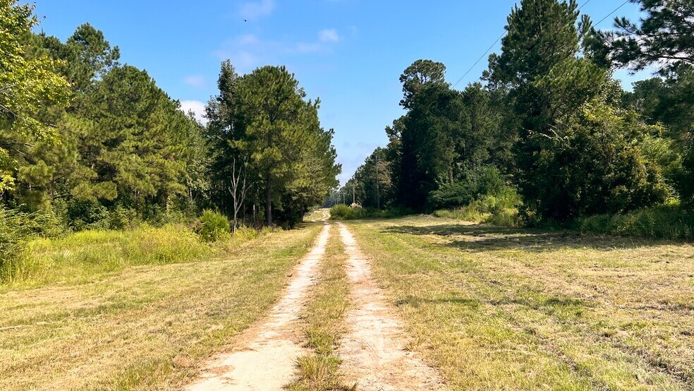 3678 Old Buck Creek Rd, Longs, SC 29568 Myrtle Grove Tract