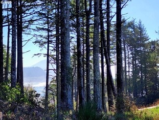 More details for Hubbard Ln, Port Orford, OR - Land for Sale