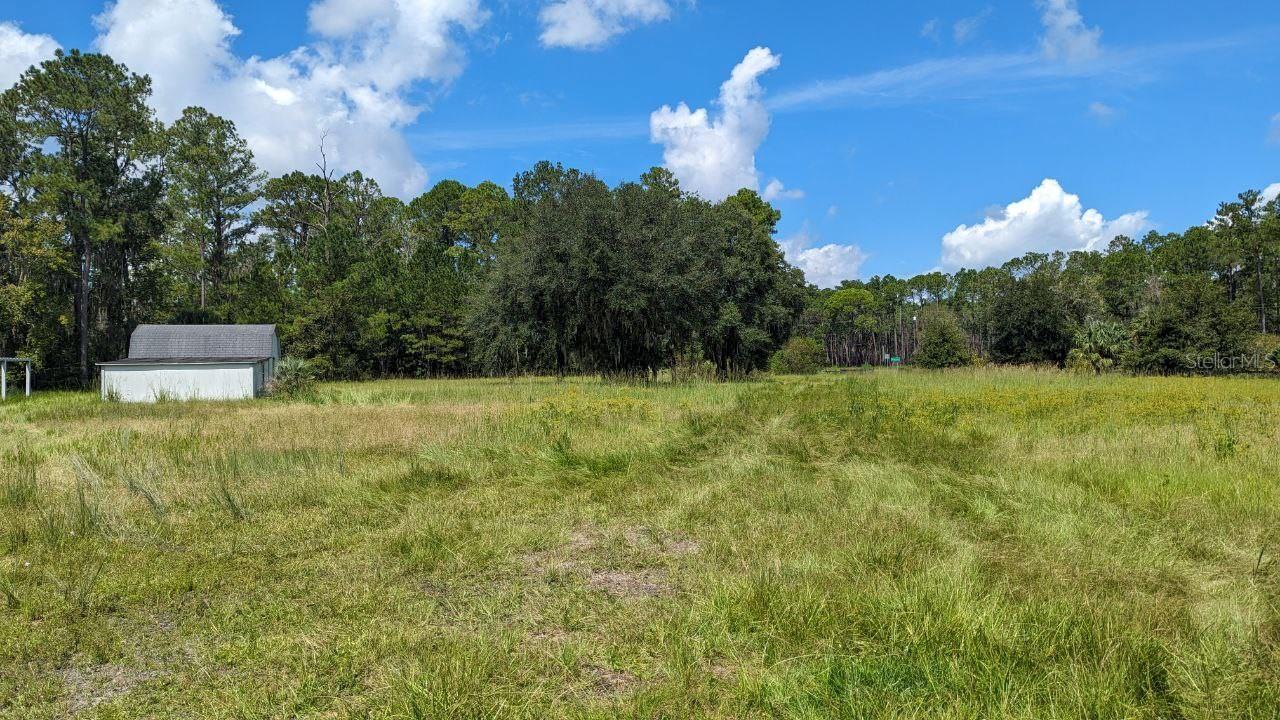 205 NW Highway 441, Micanopy, FL 32667 Land for Sale