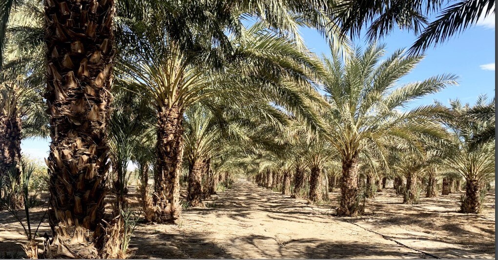 39905 Capp Rd, Desert Center, CA for sale Building Photo- Image 1 of 1