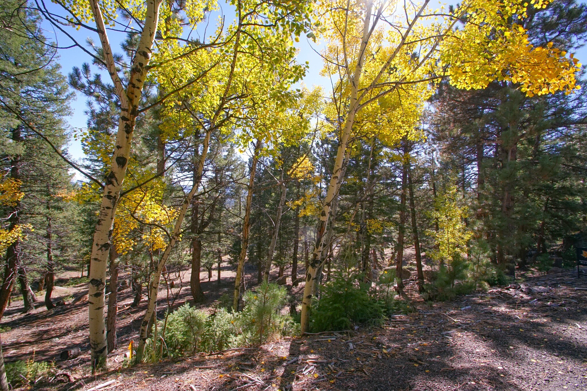 30402 Kings Valley E, Conifer, CO for sale Other- Image 1 of 4
