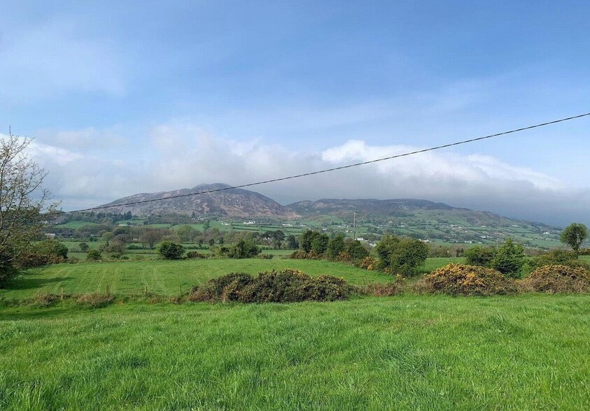 Cloghinny Rd, Newry for sale - Primary Photo - Image 1 of 1