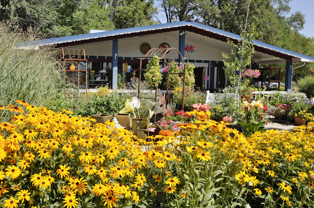 4497 Ute Hwy, Longmont, CO for lease - Building Photo - Image 2 of 23