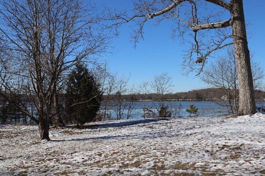 View Photo