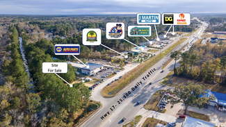 More details for 267 Mulberry Commercial Pkwy, Richmond Hill, GA - Land for Sale